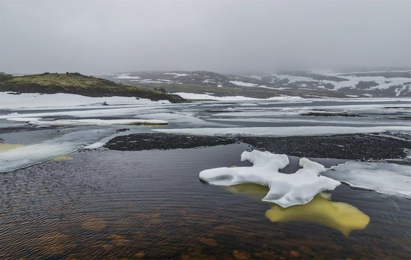 дикая природа россии, кольский п-ов, лето, озеро, пейзаж, природа, Путешествие, север, Туризм По дороге на Баренцево (июнь)photo preview