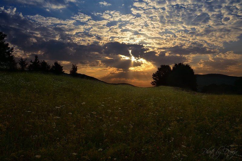 nature Yтроphoto preview