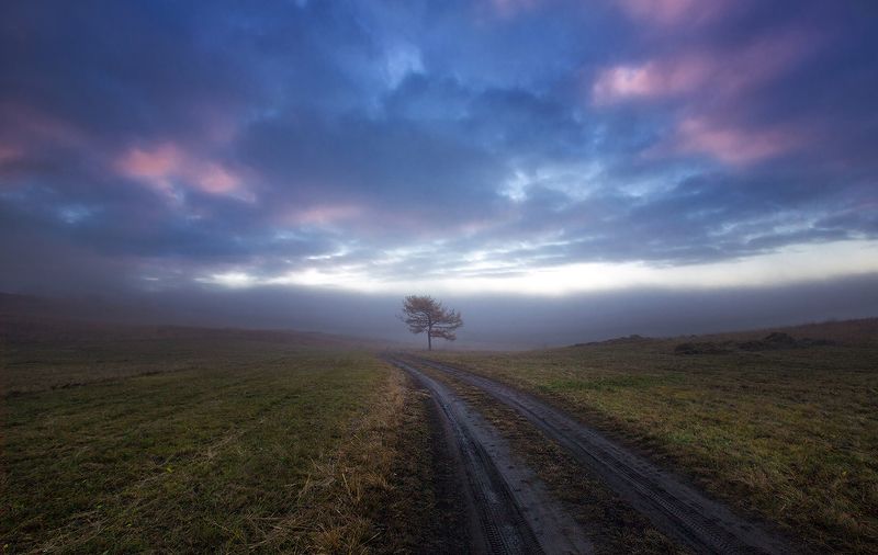 Утро...photo preview