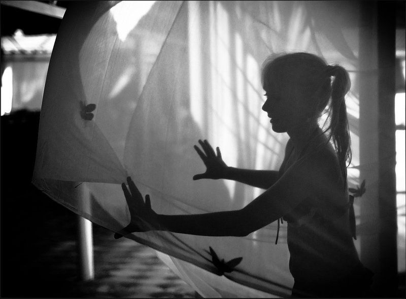 паруса..photo preview