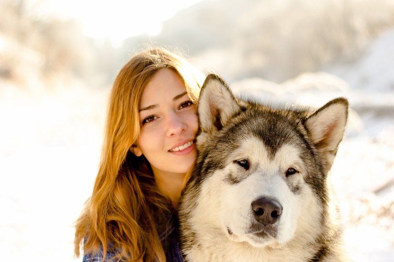 Настя и аляскинские маламутыphoto preview