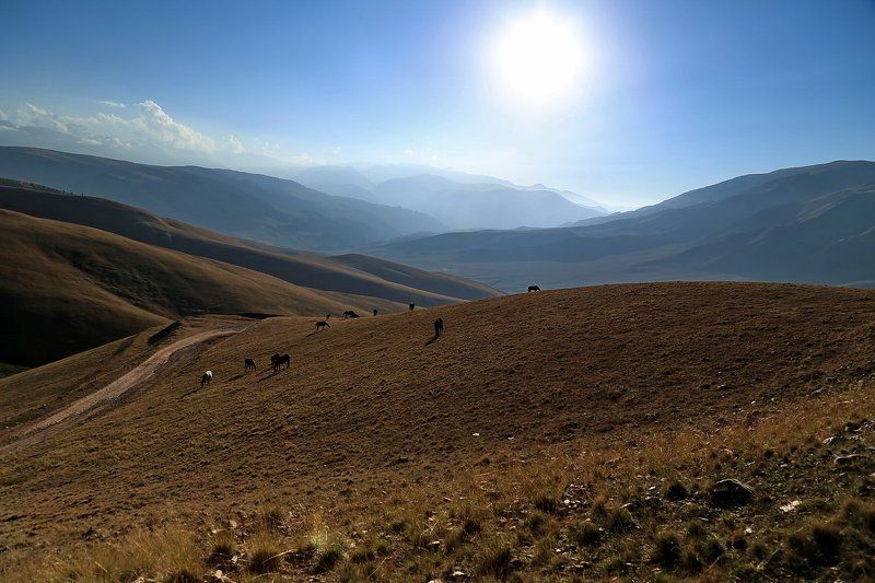 , , алатау, заилийское, казахстан photo preview