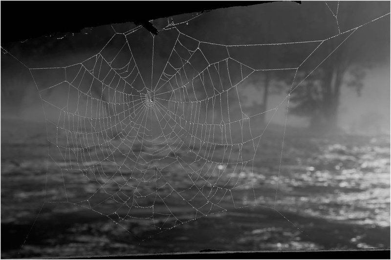 Наводнениеphoto preview