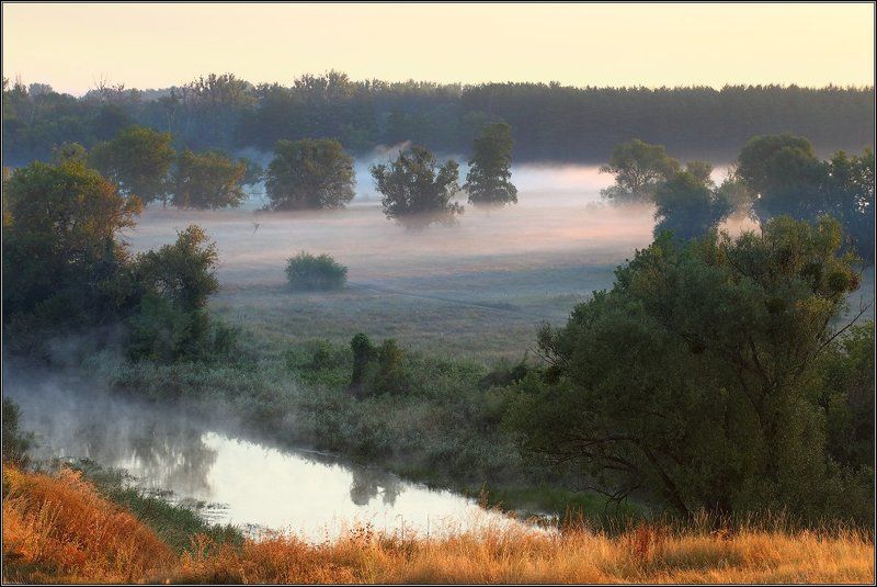 Крюковский заказникphoto preview