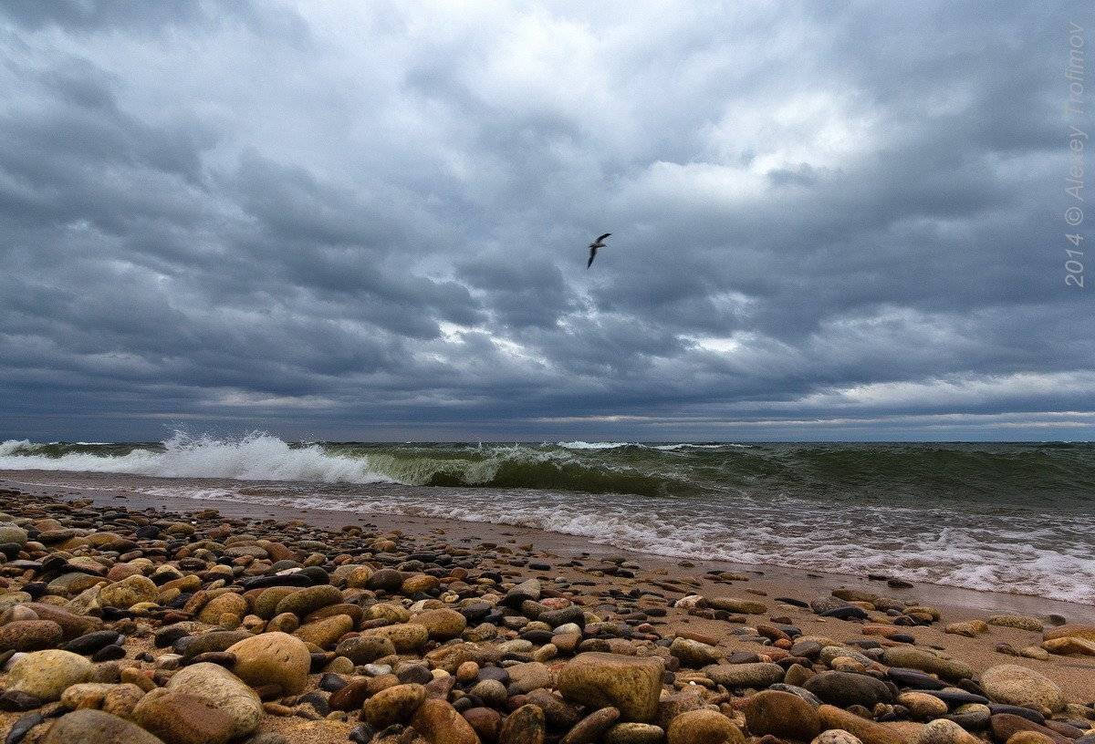 Baikalian Wave. Автор: Алексей Трофимов , Алексей Трофимов