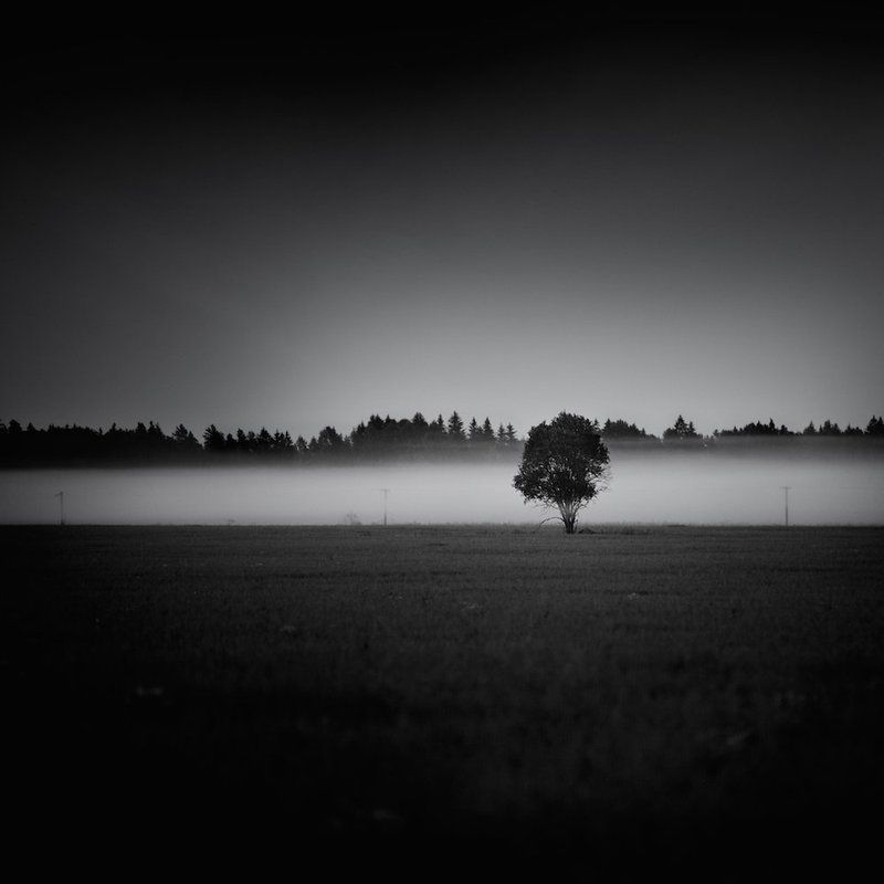 Revival..photo preview