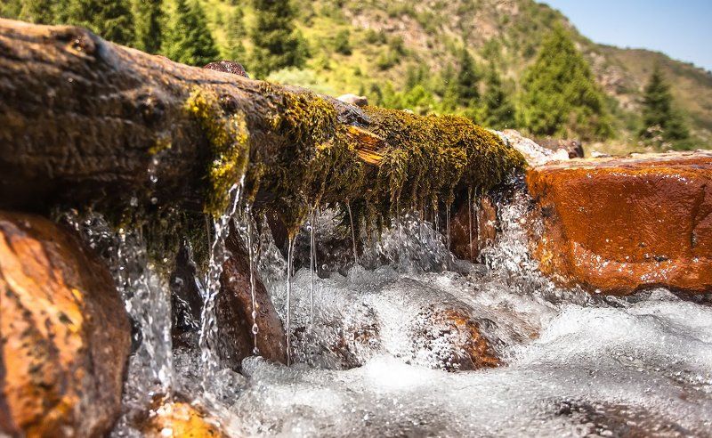 По дороге на озеро КелТорphoto preview