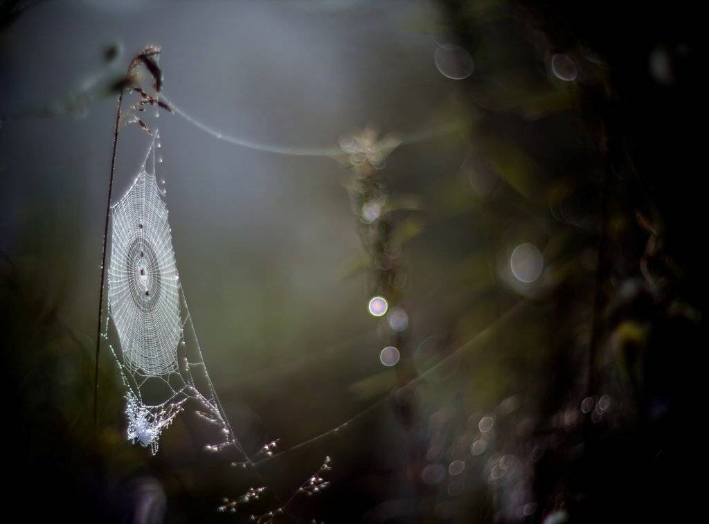 До свидания,лето!. Автор: Germanic , Germanic