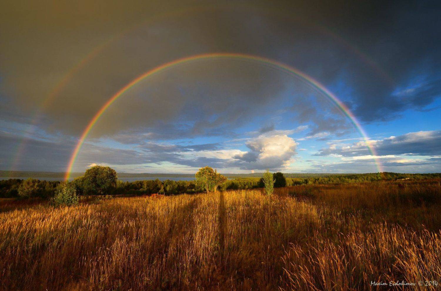 ***. Автор: Максим Евдокимов , Максим Евдокимов