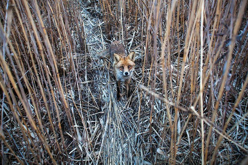 Встреча на тропеphoto preview