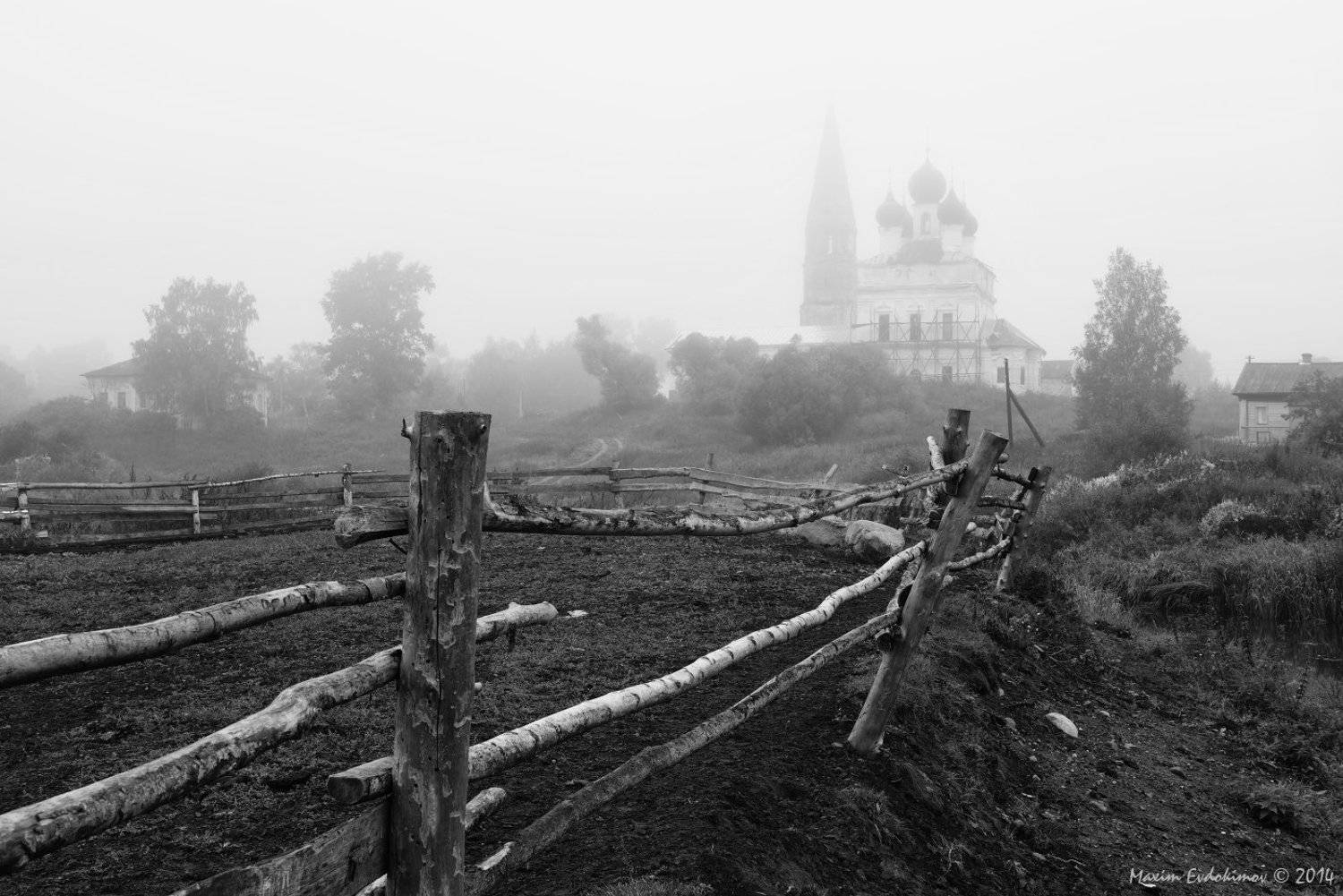 , Максим Евдокимов