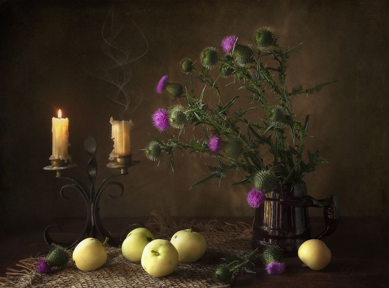 ***чертополохphoto preview