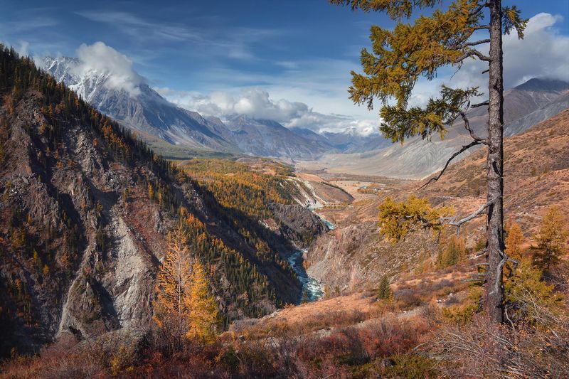 Алтай, осень ***photo preview