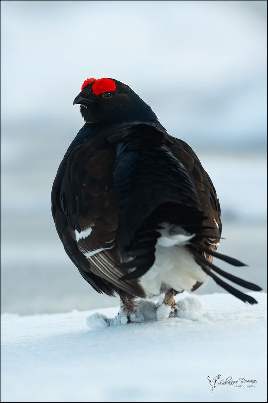 Парень в тапочкахphoto preview