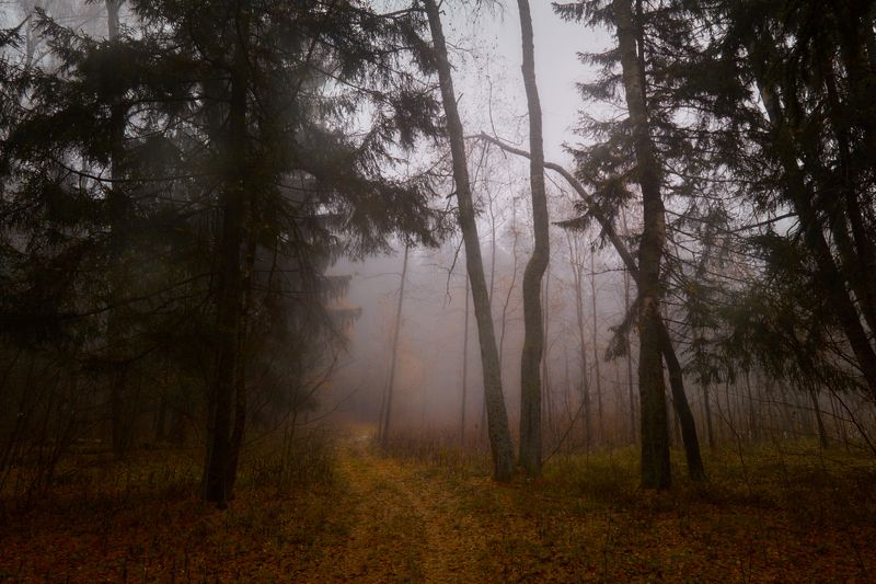 осенний туман.. фото превью