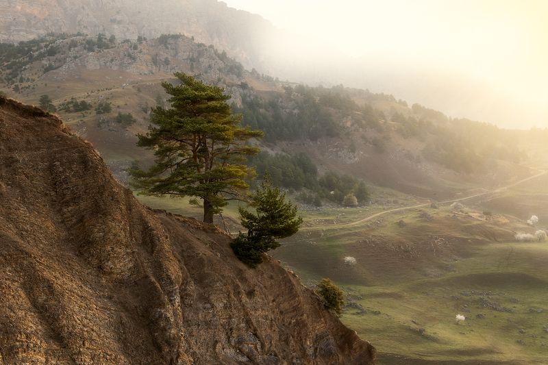 Утроphoto preview