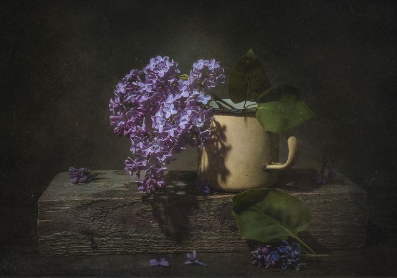 сирень,ветка,весна,кружка,пыль Сиренькаphoto preview