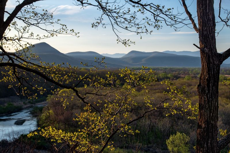 утро, рассвет, пейзаж, весна, долина, горы, путешествия, дальний восток, россия, природа россии Утро в долине Дарданеллы фото превью