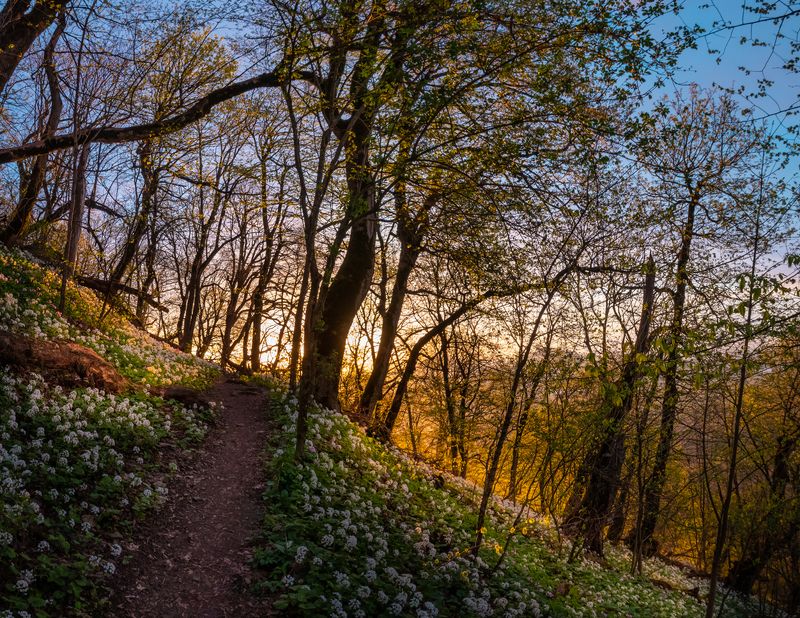 закат на горе Железнаяphoto preview