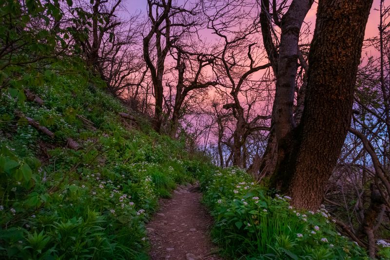 вечером на Бештауphoto preview