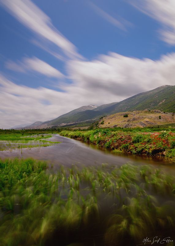 nature, naturephotography, healing, happy, colorful, alaaseifeddinephotography photo preview