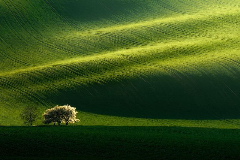 Game of light and shadowphoto preview