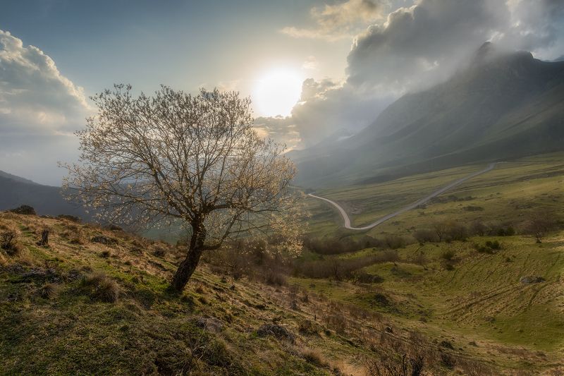 Цэй-Лоамphoto preview