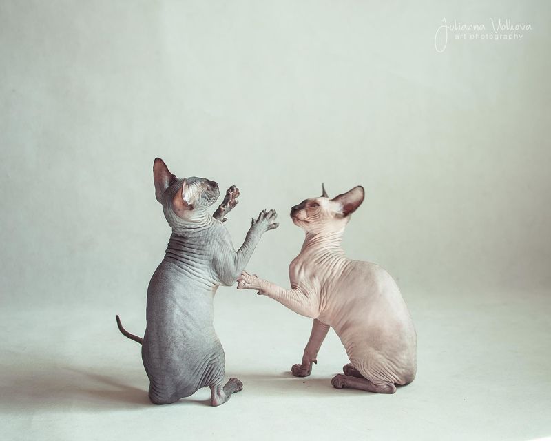 Вооот с таким глазом!photo preview