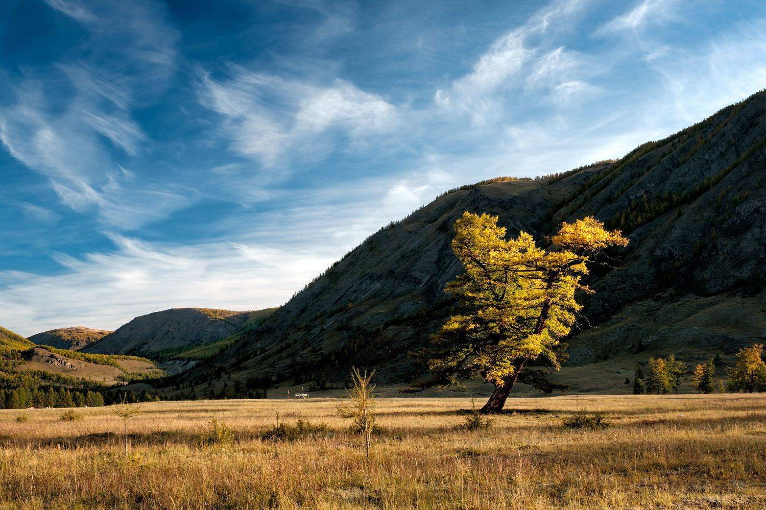 Раннее утро.... Автор: Леонтьев Константин тыва, тува, горы, кара-холь, осень, fujifilm, Леонтьев Константин