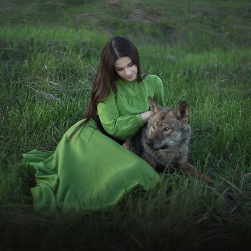 девушка, волк, сказка, весна, романтика Заколдованный принц фото превью