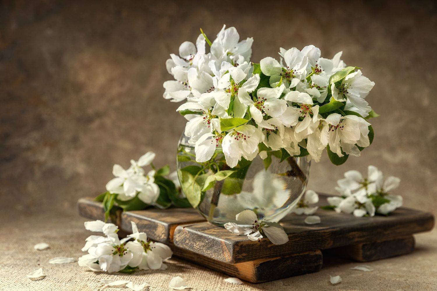 , Дмитрий Герц