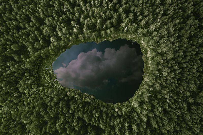 Озеро в лесуphoto preview