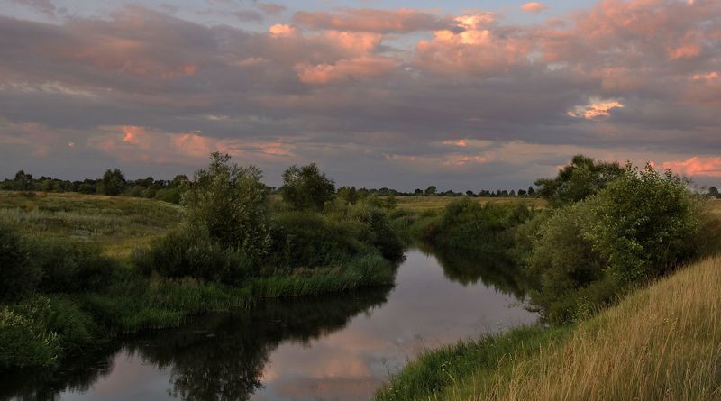 Запах полыни...photo preview