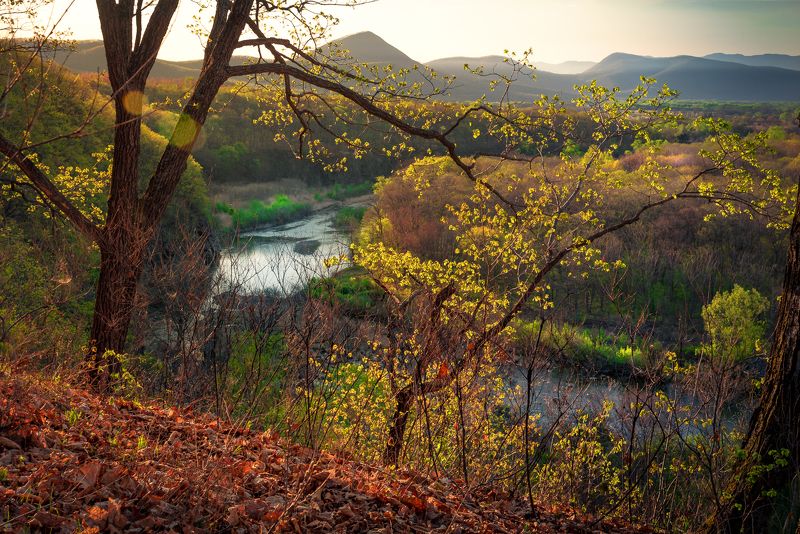 Краски утра фото превью