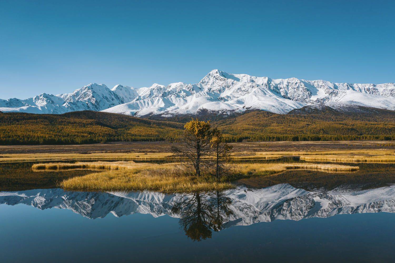 Озеро Джангысколь, Алтай. Автор: Разум Митя , Разум Митя