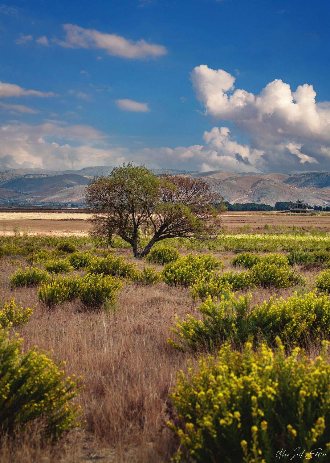 Автор: Alaa Seif Eddine nature, naturephotography, landscape, colorful, alaaseifeddinephotography, Alaa Seif Eddine
