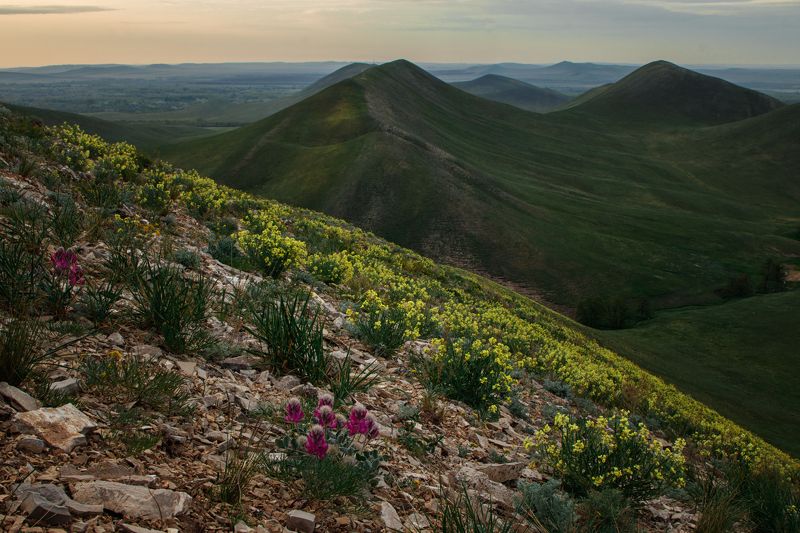 урал, южный урал, долгие горы, нагайские горы ***photo preview