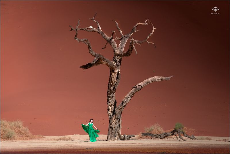 намибия, мертвый лес, deadvlei, фототур, mb-world DeadVlei — легендарное место Намибииphoto preview