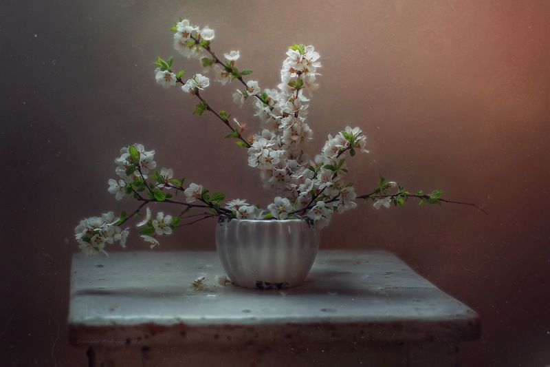 вишня*photo preview