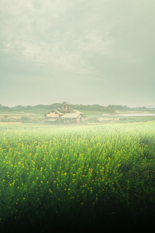 meditationphoto preview