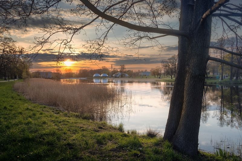 польша пейзаж пруд вечер закат Stawy Janaphoto preview