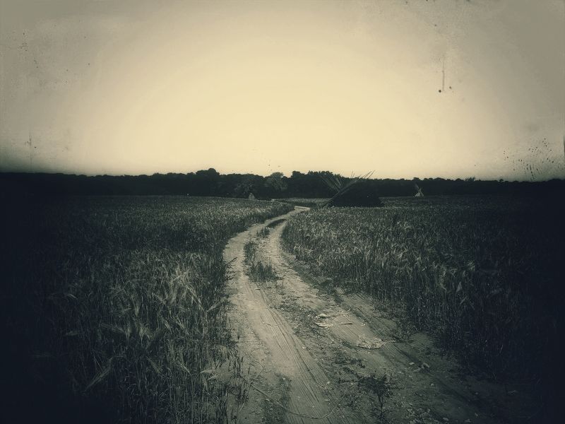 fine art, mood, landascape, nature, old, film between wheat fieldsphoto preview