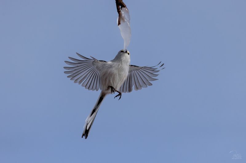 Жаждаphoto preview