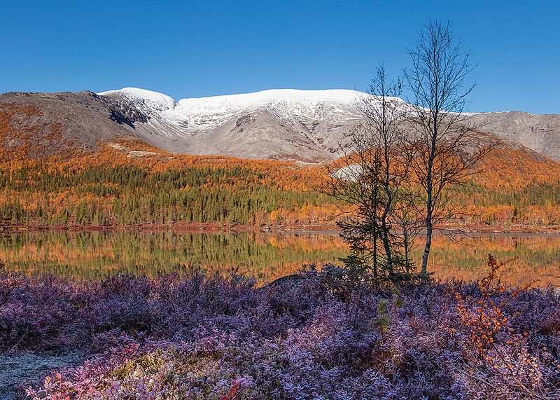 хибны,горы,куэльпорр,северный чоргорр Первые заморозкиphoto preview
