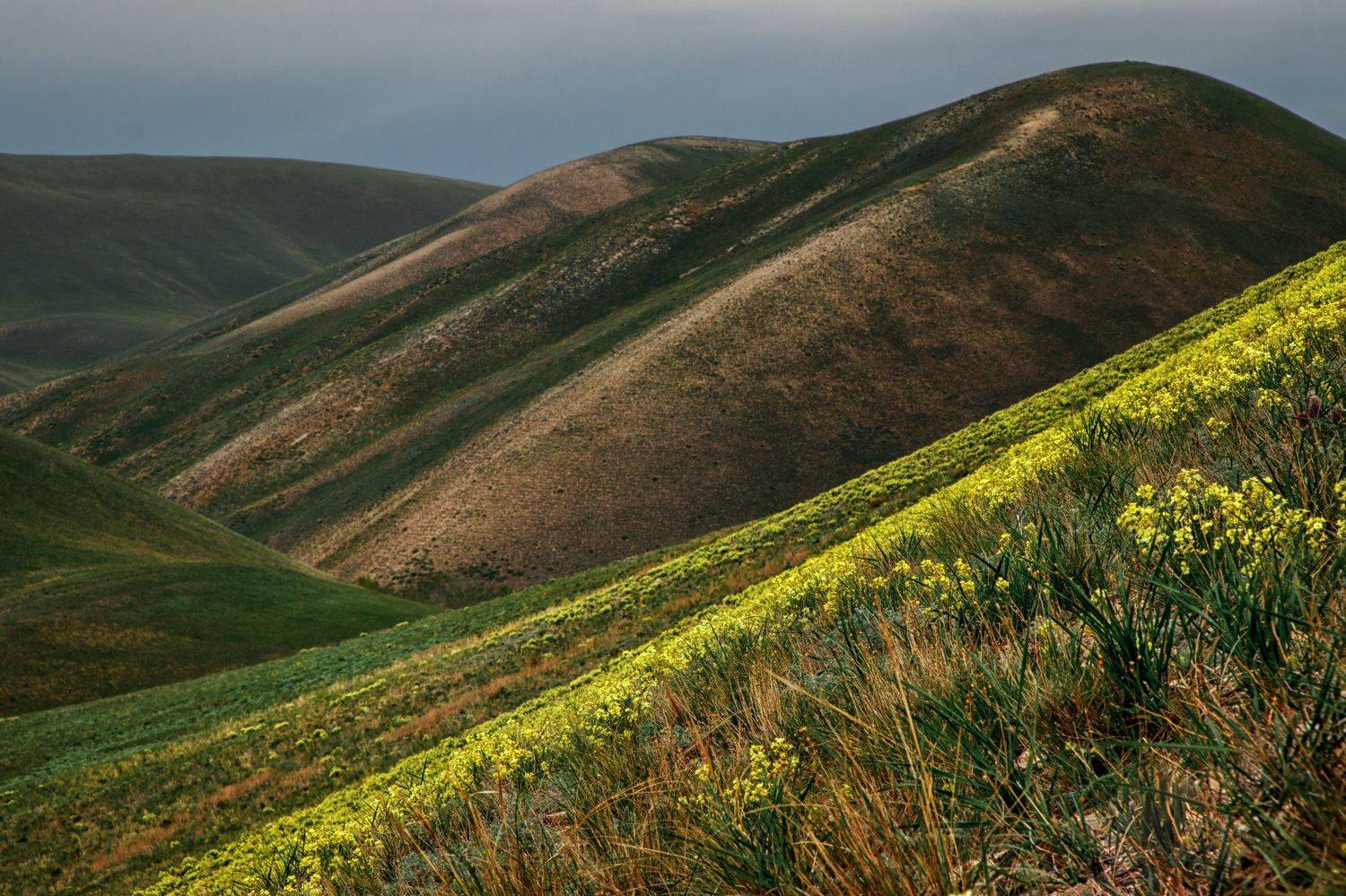 Долгие горы. Автор: Вячеслав Болякин урал, южный урал, долгие горы, Вячеслав Болякин