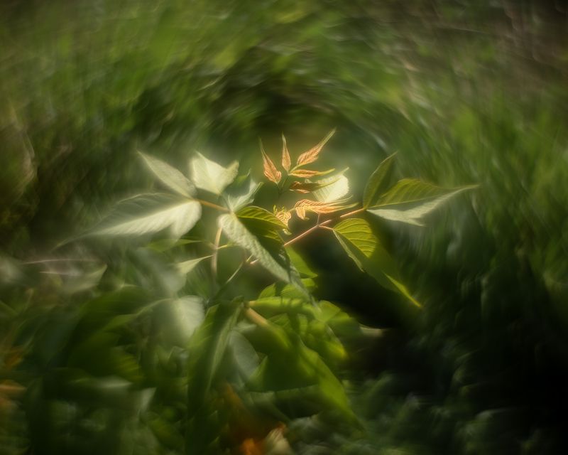 Чудесаphoto preview