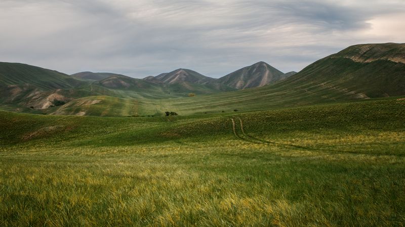 урал, южный урал, долгие горы Долгие горыphoto preview