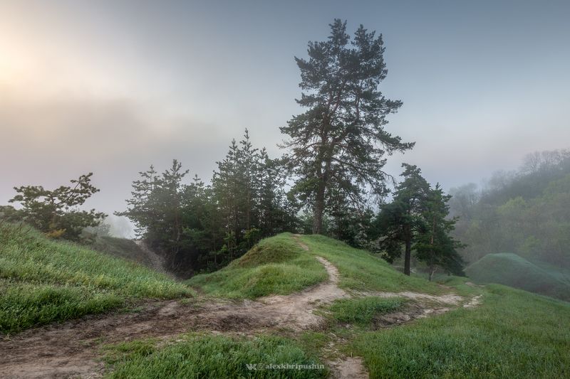 landscape Тропинкиphoto preview