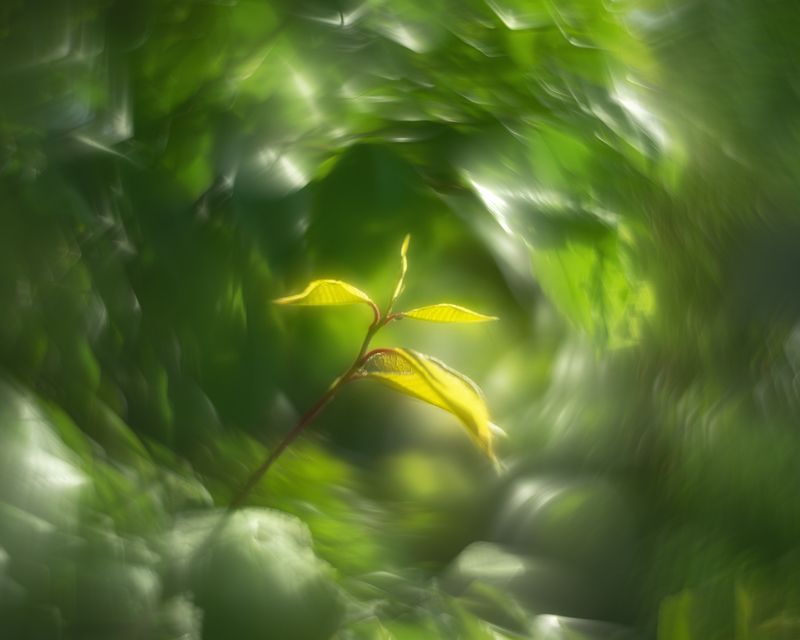 Чудесаphoto preview