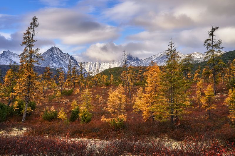 Колымская осень фото превью